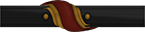 Commanding Officer