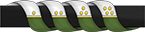 Chief Security/Tactical Officer