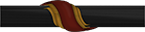 Executive Officer